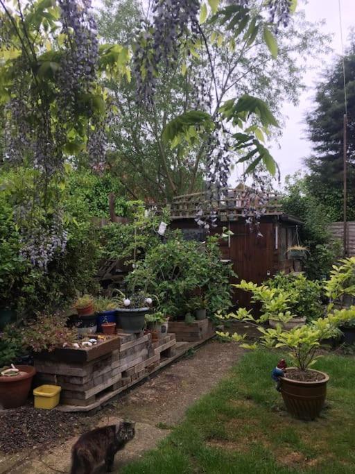 Carpe Diem Rooms Flat Near Zone 1 London Exteriör bild