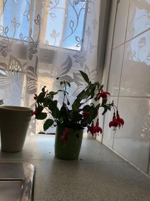Carpe Diem Rooms Flat Near Zone 1 London Exteriör bild